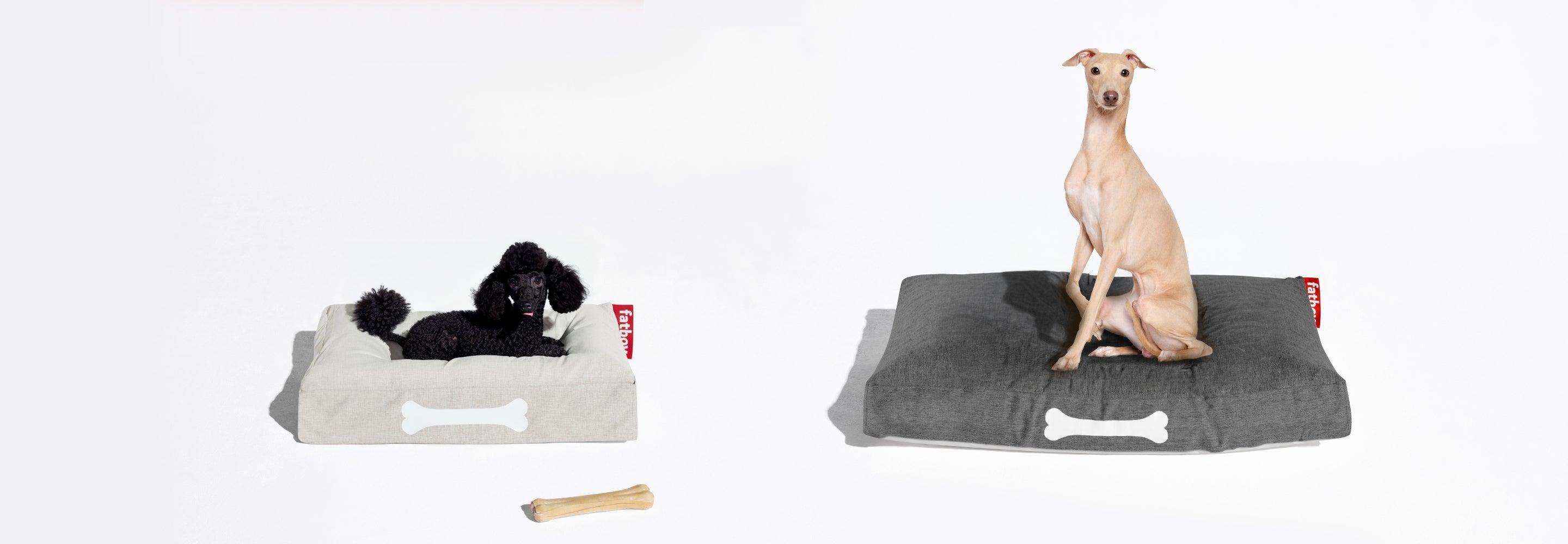 World Animal Day Specials - DesertRiver.shop