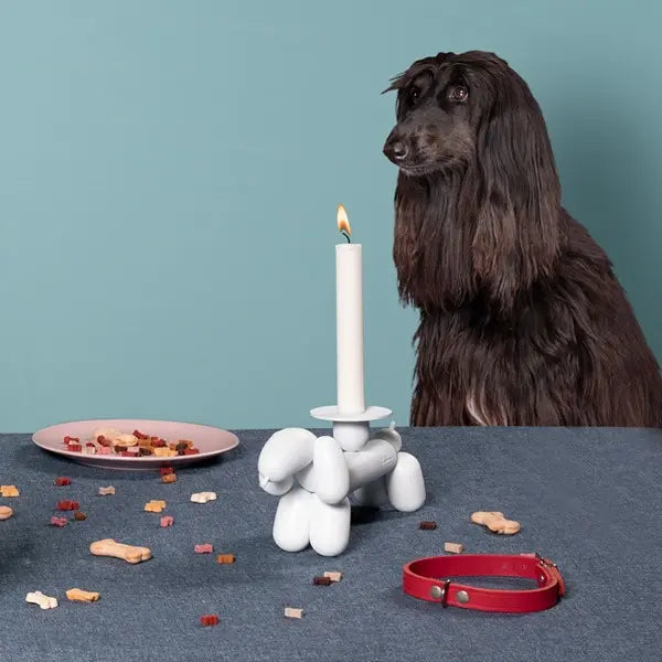 Fatboy Can-dog candle holder Fatboy