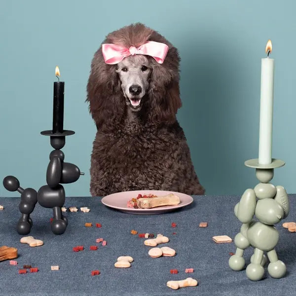 Fatboy Can-dolly candle holder Fatboy