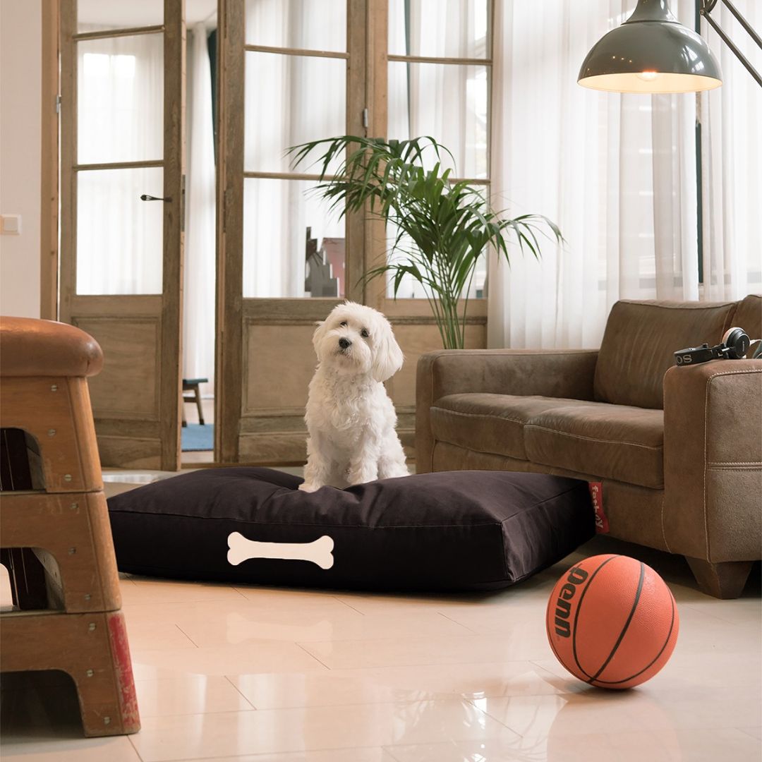 Fatboy Doggielounge Soft Canvas Dog Bed (Large)