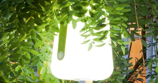 Fermob Balad table lamp (H38cm) Fermob