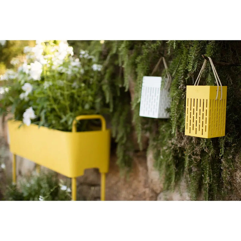 La Lampe Pose 4 Mustard Solar Light