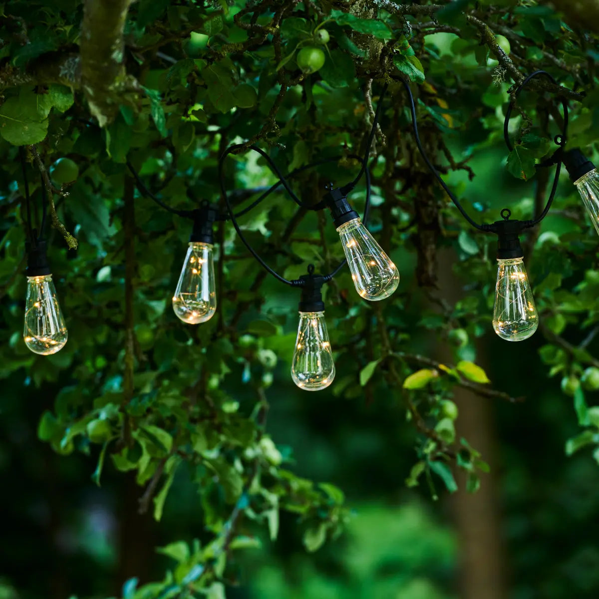 Sirius Lasse festival lights, supplement set - DesertRiver.shop