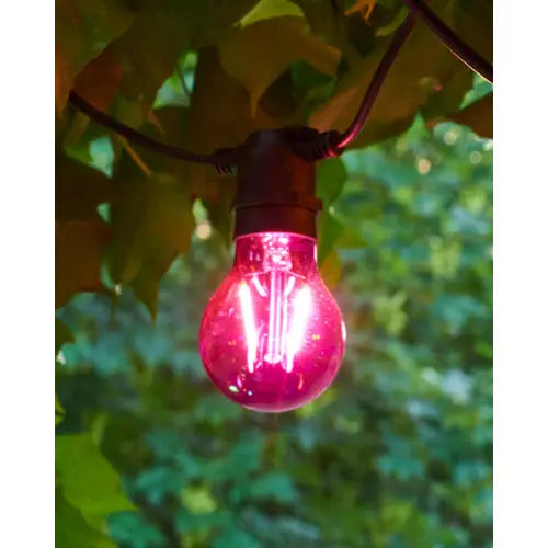 Sirius Tobias festival lights replacement bulb Sirius