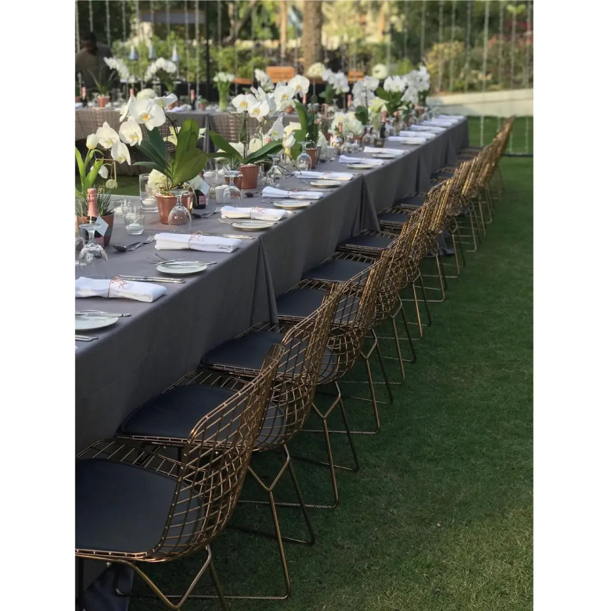 Wire dining chair Desert River Rentals