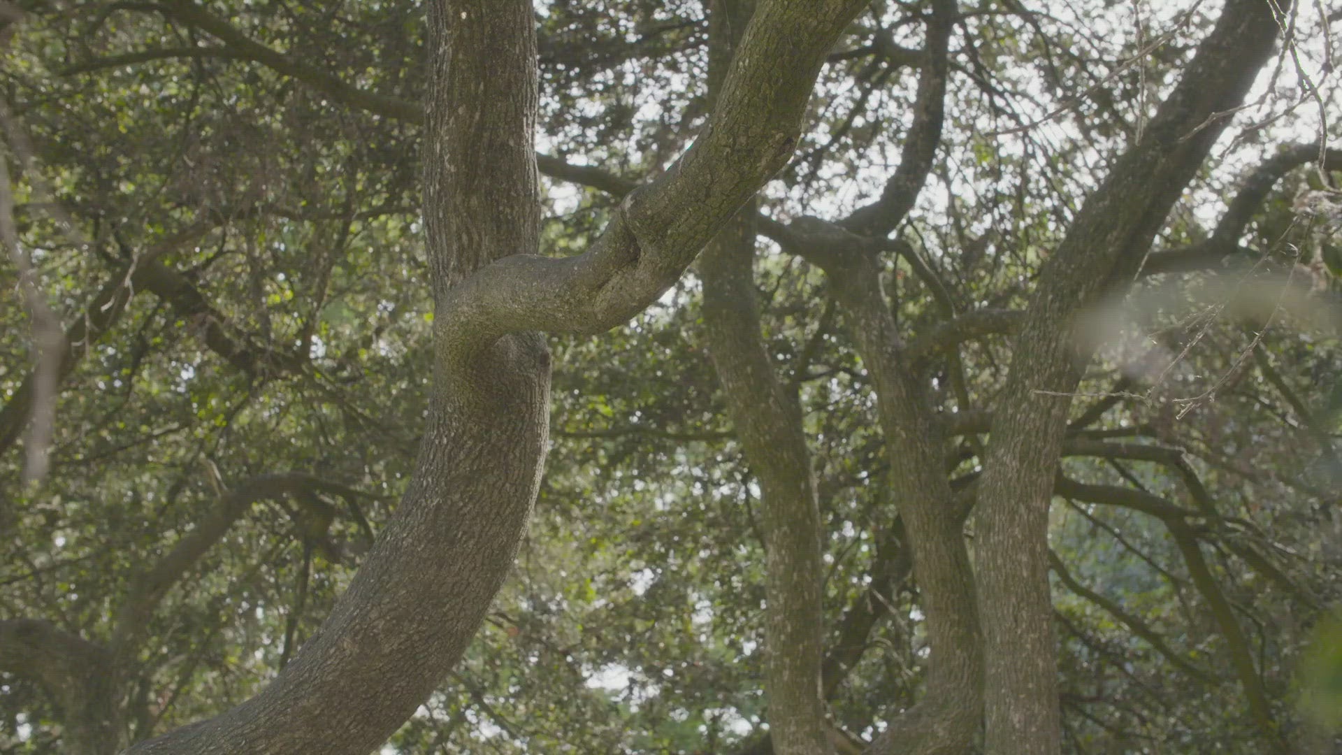 Fatboy Bolleke Rechargeable LED Light